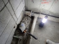 251ed0946a01ac5ebeb6b61bdd85693e